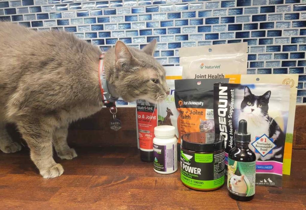 Best Joint Supplements for Cats