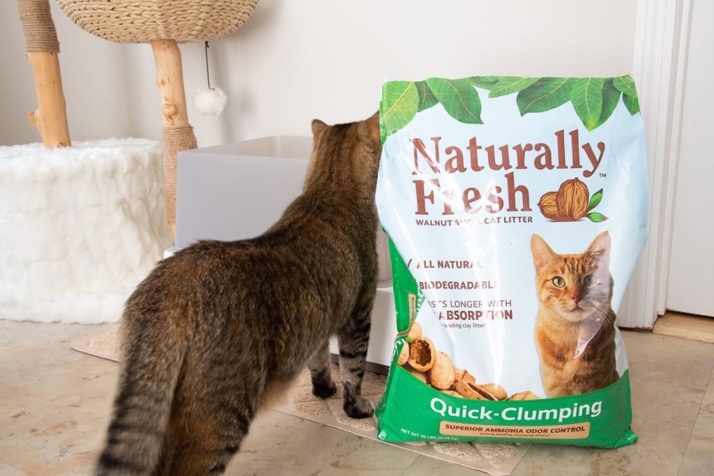 Best Natural Cat Litter