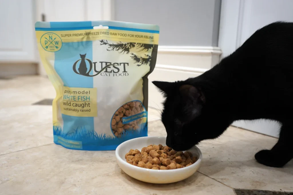 Best Freeze Dried Raw Cat Food