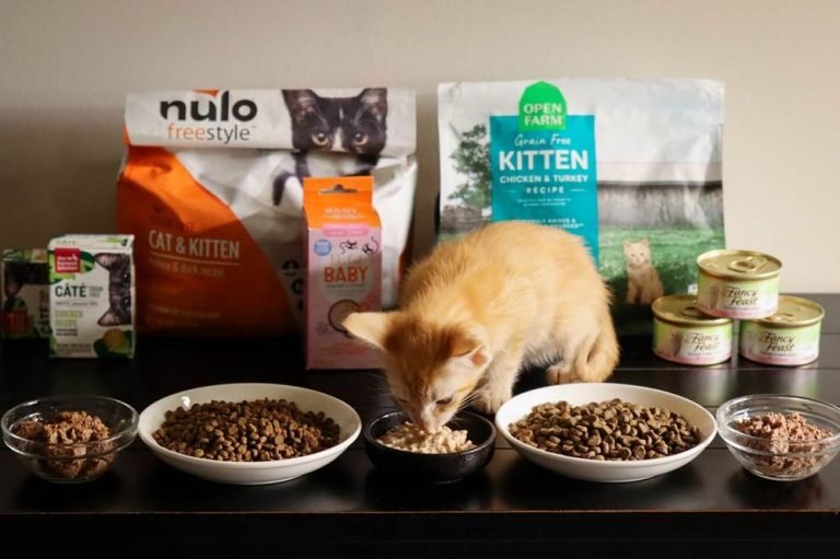 8 Best Cat Foods for Urinary Health in 2025 - Catophile - What Can I Put In My Cat'S Food For Uti