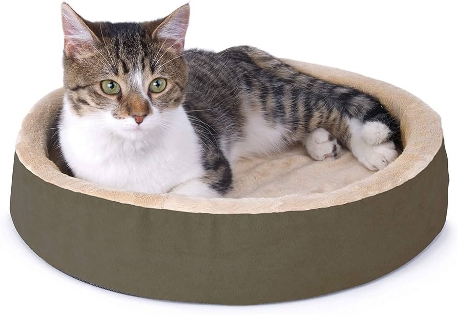 Best Cat Beds for Cats with Joint Pain