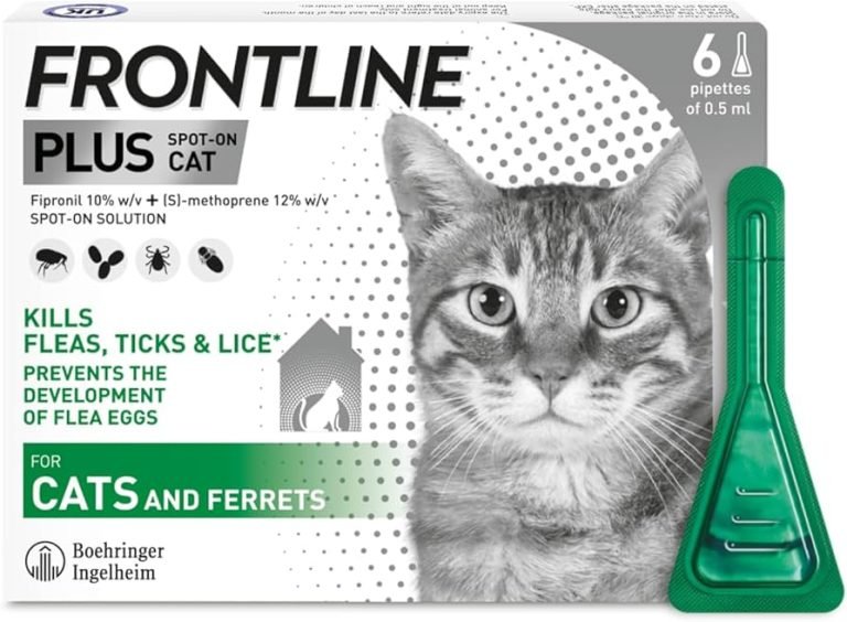 Photo inspiration: Best Cat Flea And Tick Prevention In 2025 Photo Inspiration