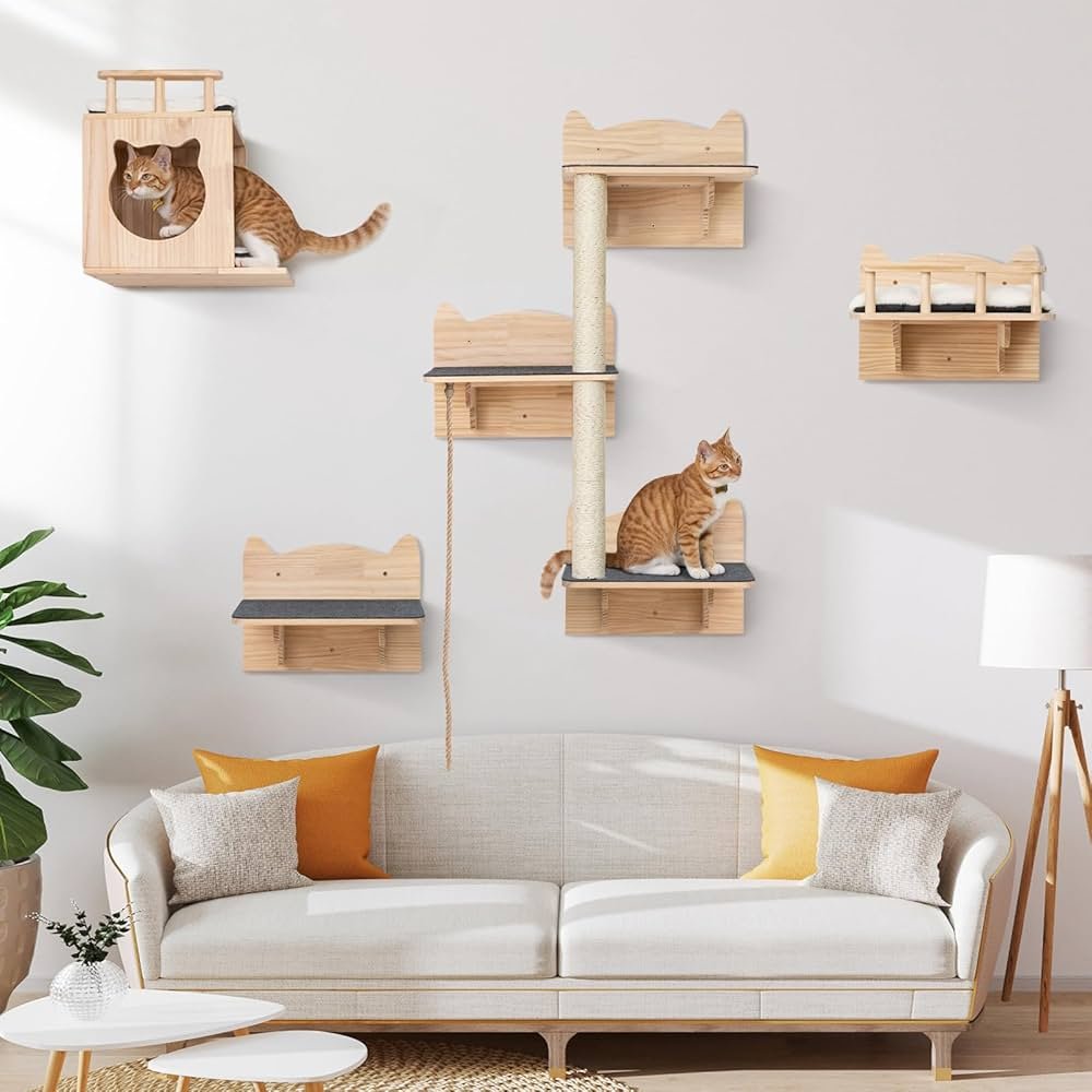 The Best Cat Play Areas for Indoor Cats