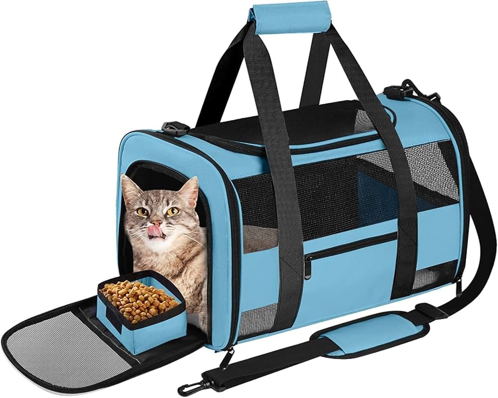 The Best Cat Products for Travel and Vacations