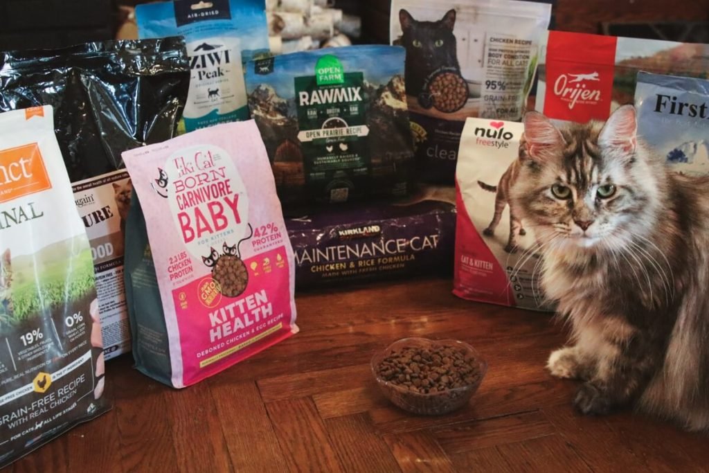 The Best High-Protein Cat Foods for Active Cats