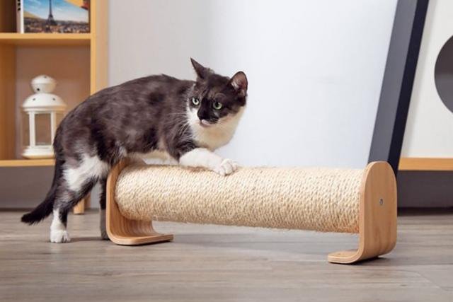 Top 7 Best Cat Scratching Posts for Your Feline Friend